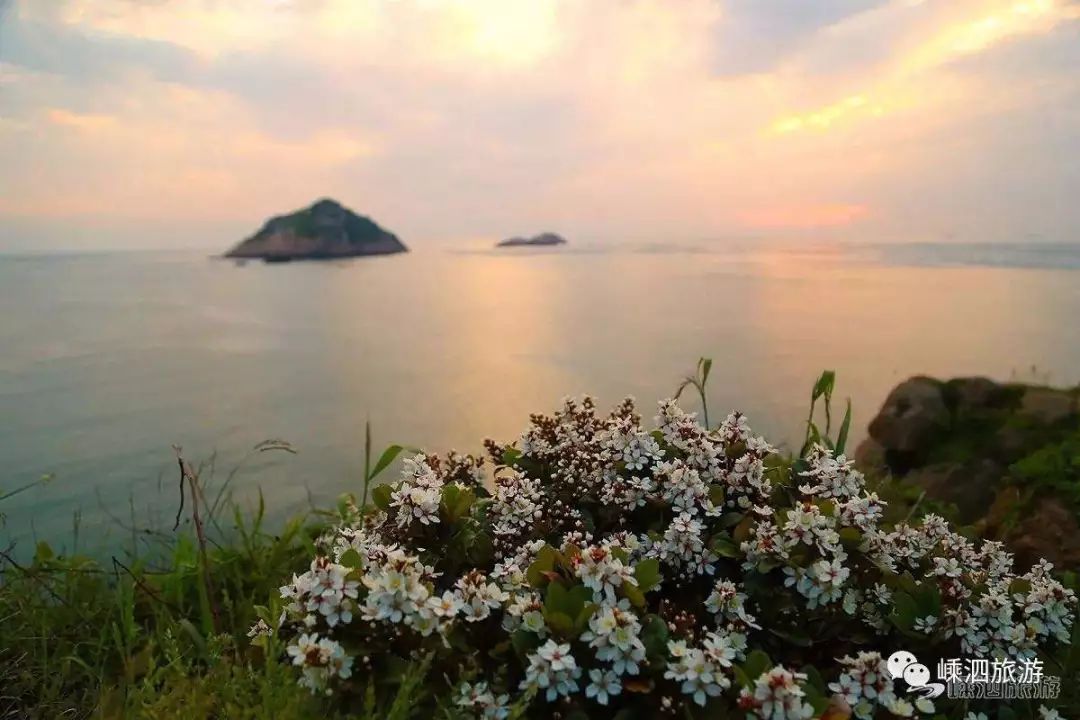 我有一座美丽的海岛,我有一座海岛免费下载