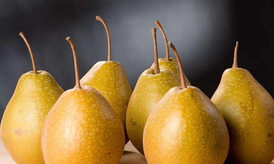 今日惊蛰各时节,今日惊蛰节气解释