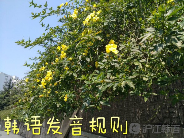 韩语发音规则与音变总结,韩语发音技巧总结