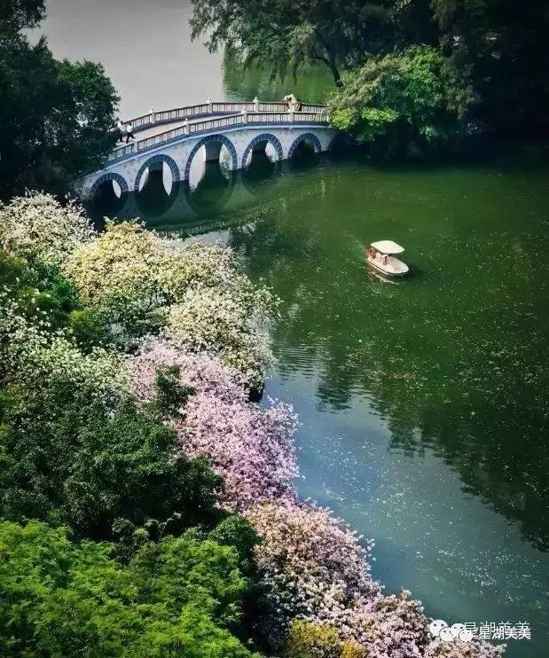 2月16到3月31免门票的地方,七星岩攻略一日游门票