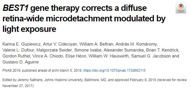 基因治疗最新突破有效果吗,基因疗法有望治愈的10种疾病