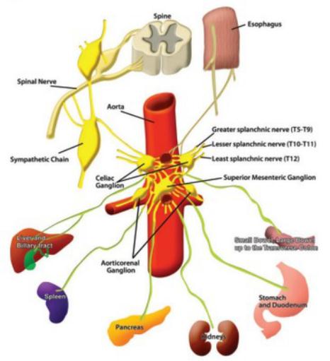 成都医生用“催眠神经”疗法为癌症患者缓解疼痛
