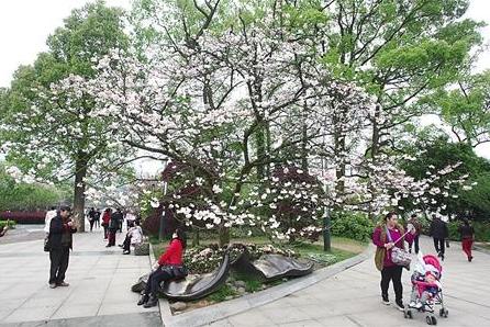 “一会一节”将启幕推房车旅游扶贫