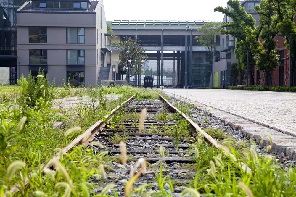 上海宝山乐翻天蹦床公园,蹦床主题公园宝山新杨湾