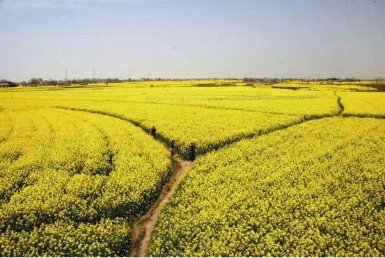 湖北荆州最近发生的大事,湖北最近大事