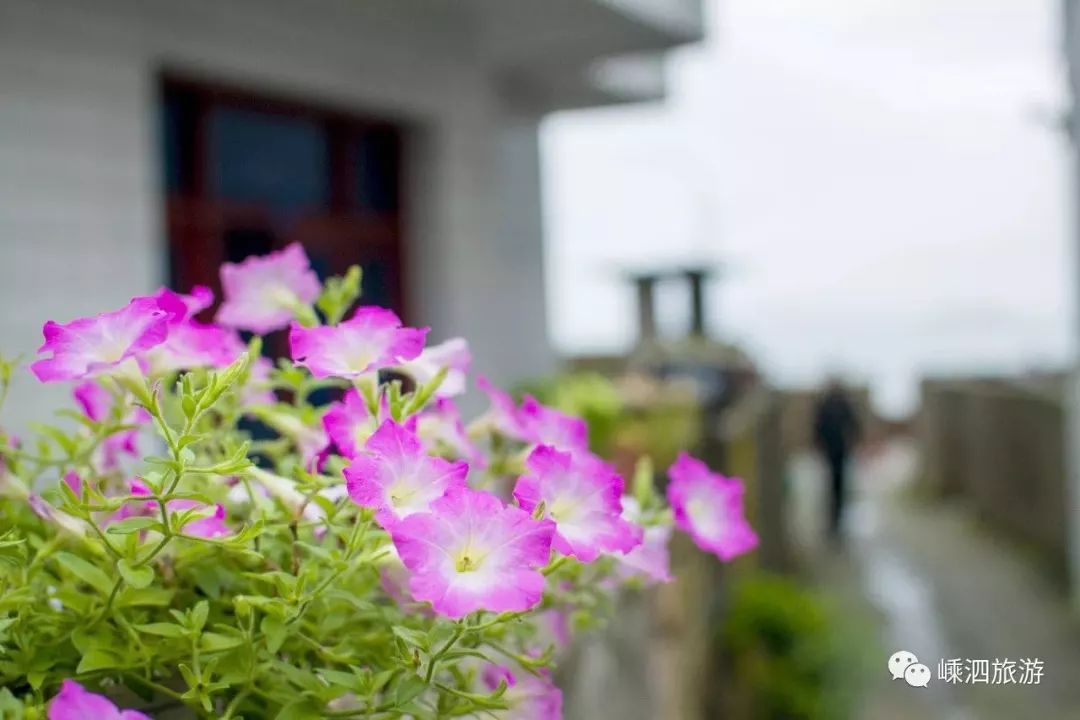 我有一座美丽的海岛,我有一座海岛免费下载