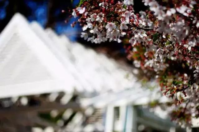 我有一座美丽的海岛,我有一座海岛免费下载