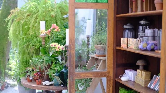 深度吃喝游记|为什么我在台湾暴饮暴食了十天,却一斤都没长胖?