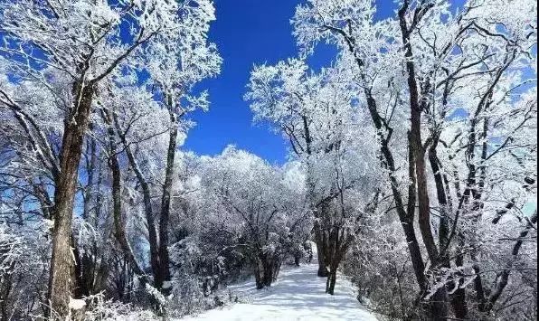 南江,让我再看你一眼,从南到北!