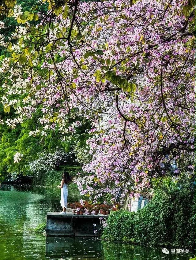 2月16到3月31免门票的地方,七星岩攻略一日游门票