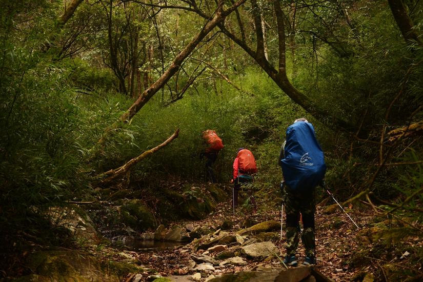 穿越小雷公坪,小雷公实战视频