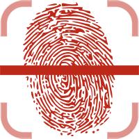 像奥迪a6的轿车,标致508和奥迪a6底盘对比