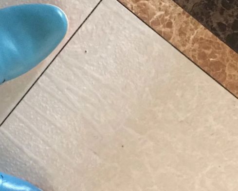 为什么家里回南天湿得特别严重,回南天家里很潮湿有什么方法除湿