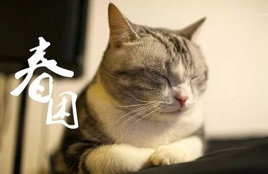 今日惊蛰各时节,今日惊蛰节气解释