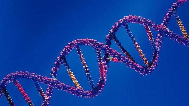 单细胞测序乔杰,乔杰院士讲单细胞