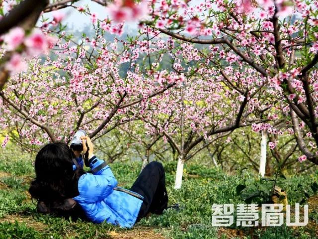 广济桃花几月开始,2020广济桃花开了吗