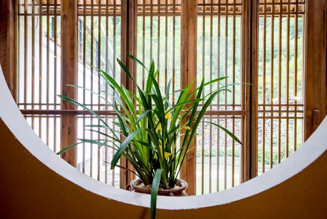 旅行胜地最美民宿,宁波龙观禅那艺术民宿优惠团购