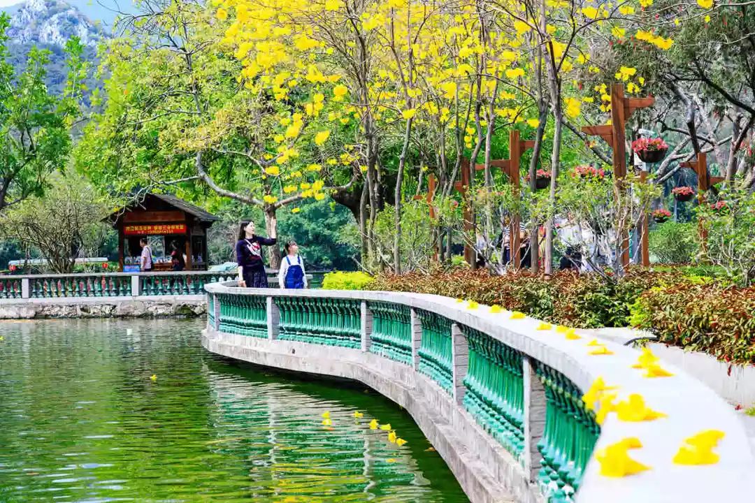 2月16到3月31免门票的地方,七星岩攻略一日游门票