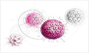 4价hpv疫苗必须在一个地方打吗,4价hpv疫苗打了两针后来怀孕了