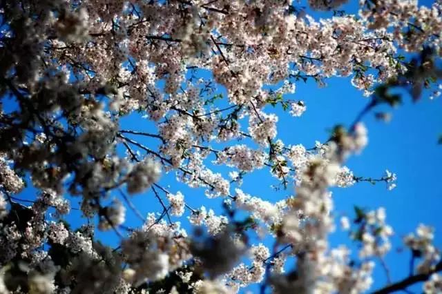 我有一座美丽的海岛,我有一座海岛免费下载