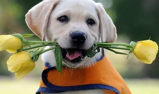 宁波鄞州最近有什么大型活动,宁波鄞州水街五一活动