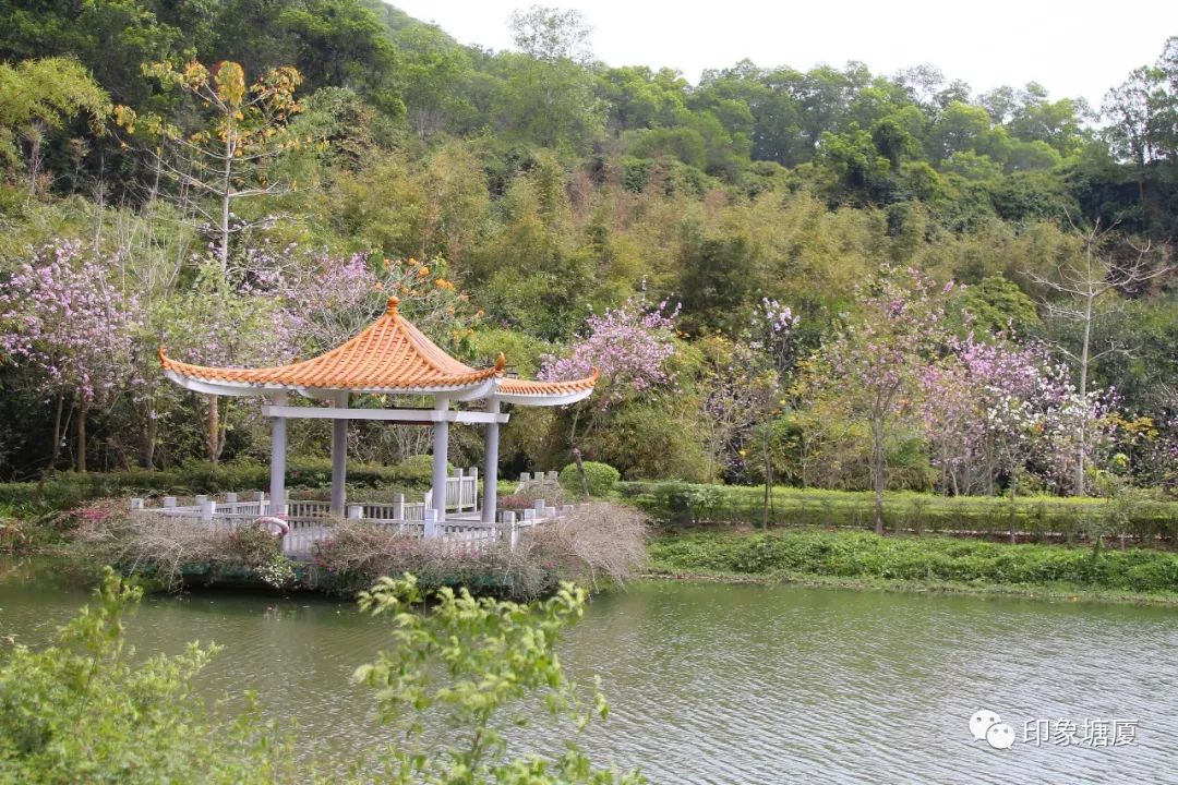 满城尽带黄金甲出处,满城尽带黄金甲