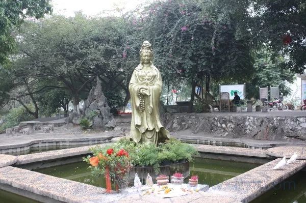 南宁免费一日游的景点大全,南宁45个景区