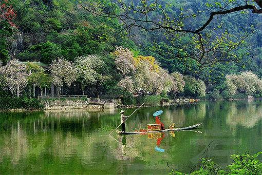 2月16到3月31免门票的地方,七星岩攻略一日游门票