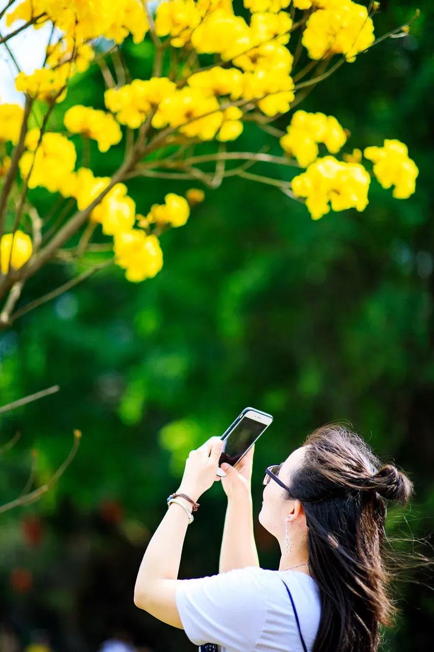 2月16到3月31免门票的地方,七星岩攻略一日游门票