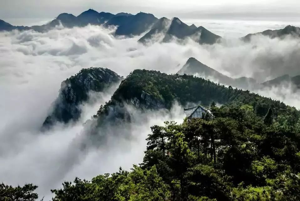云雾庐山旅游攻略,庐山雾景旅游