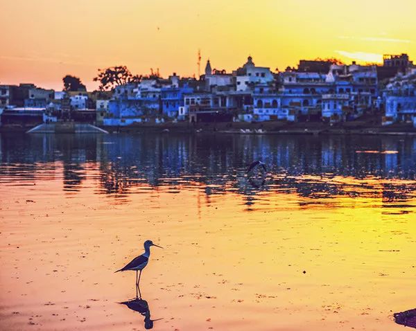 古老国度染上缤纷色彩，这样的洒红节让上帝也为之疯狂！