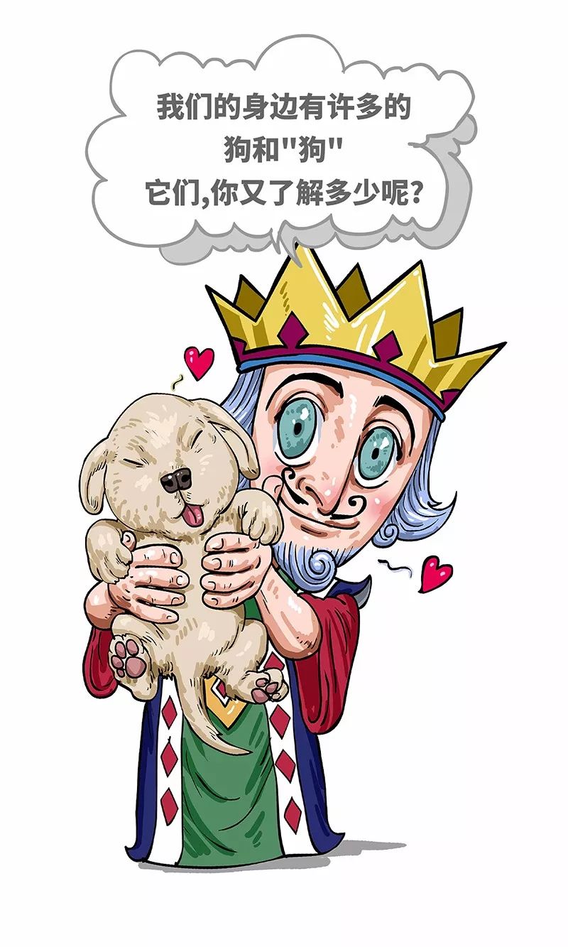 狗年一定旺的狗狗,狗年了你知道狗的种类有哪些吗