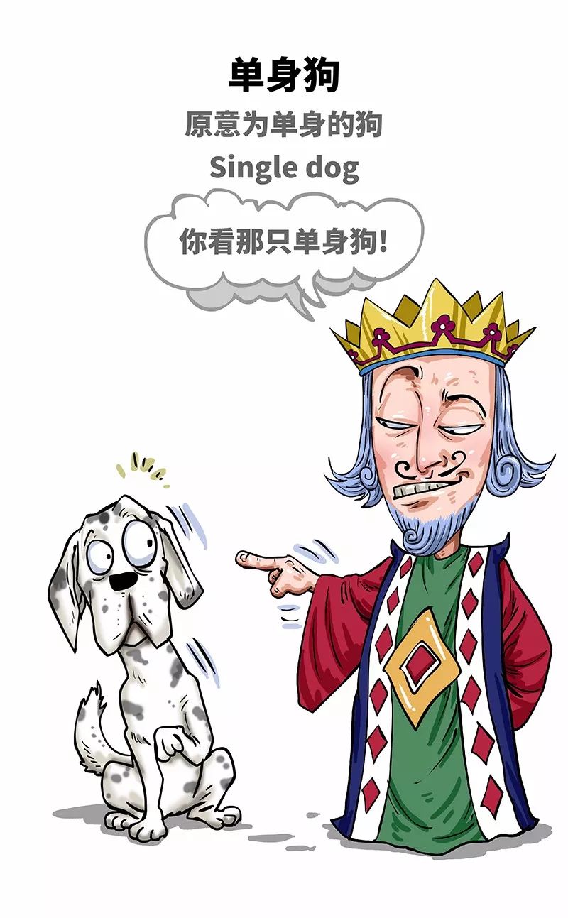 狗年一定旺的狗狗,狗年了你知道狗的种类有哪些吗