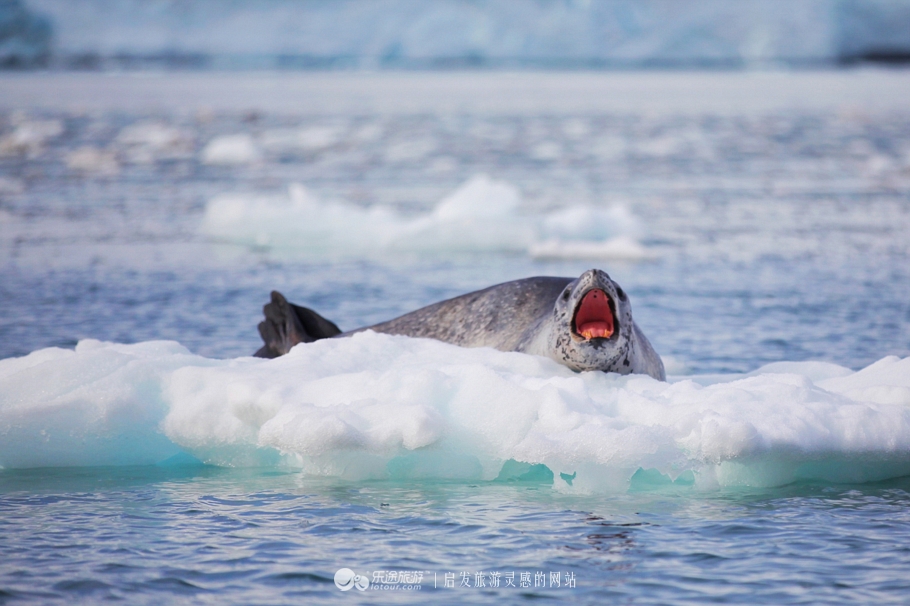 南极冰山脚下,南极的神秘之处
