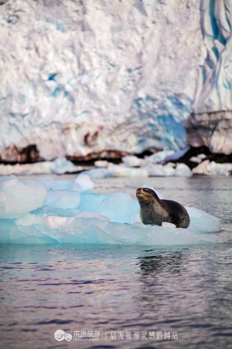 南极冰山脚下,南极的神秘之处