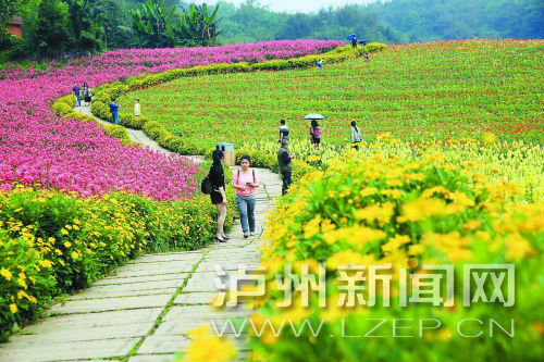 三月女人季泸州女性朋友浪漫节日该这样过