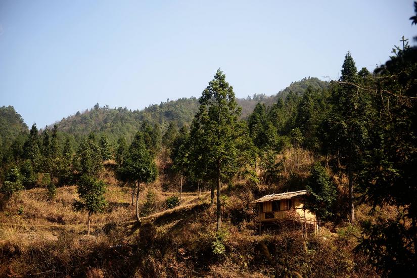 穿越小雷公坪,小雷公实战视频