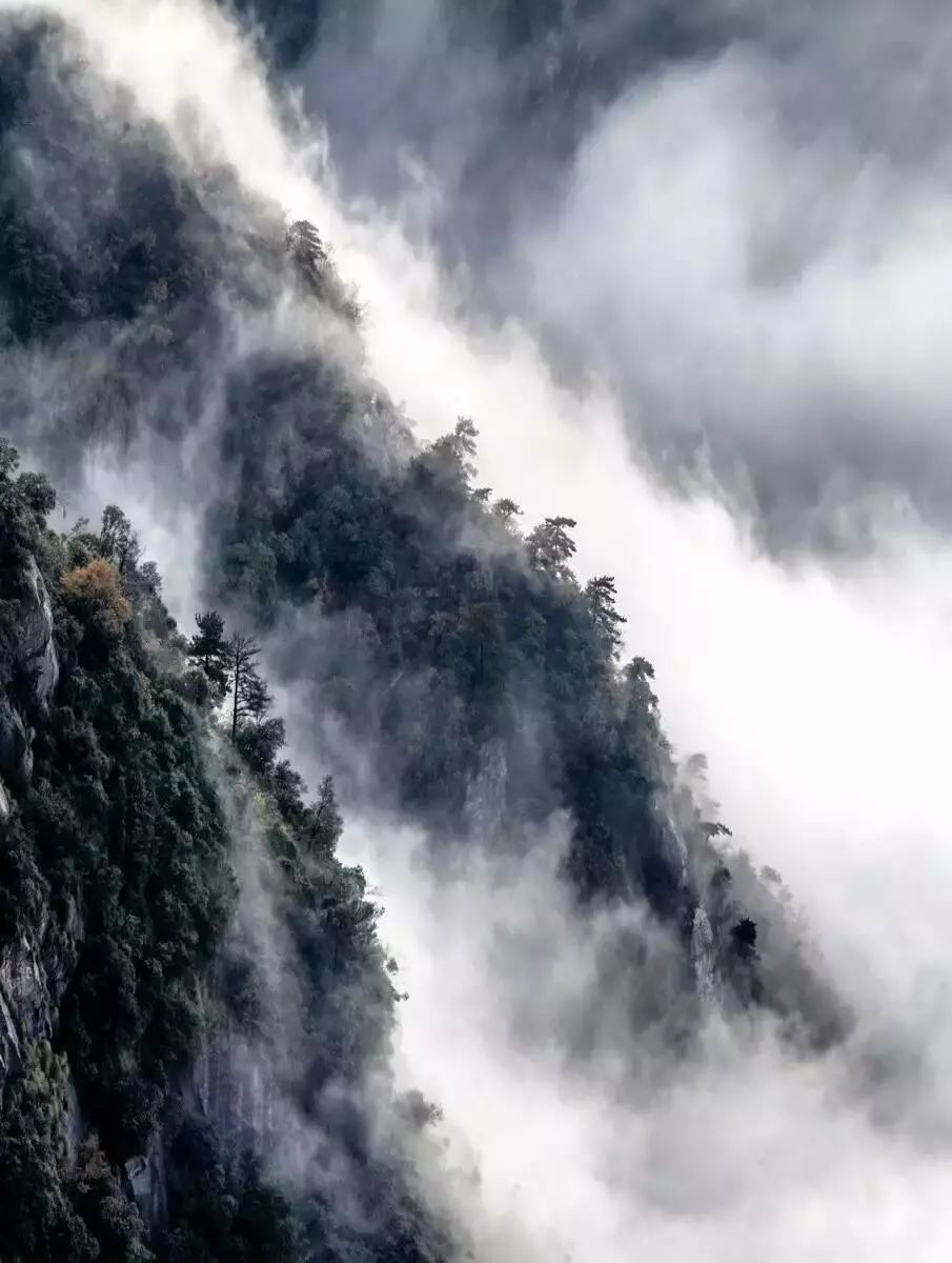 云雾庐山旅游攻略,庐山雾景旅游