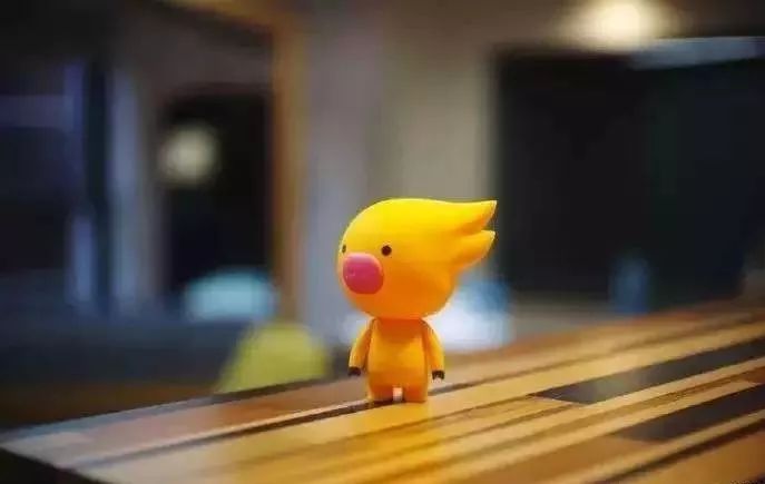 李少华发言,飞猪旅行总裁李少华