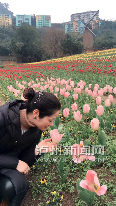 三月女人季泸州女性朋友浪漫节日该这样过