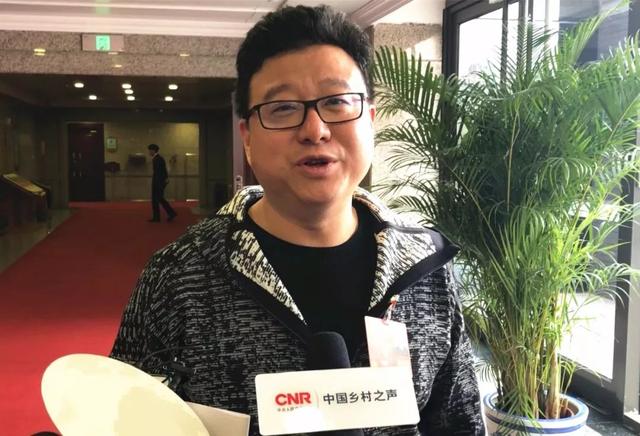 网易丁磊还在养猪吗,为什么丁磊选择去养猪