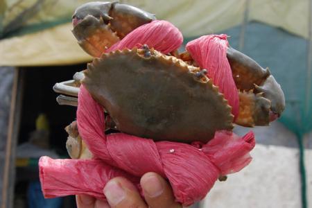 消费维权20个案例,十大消费维权案例及图片