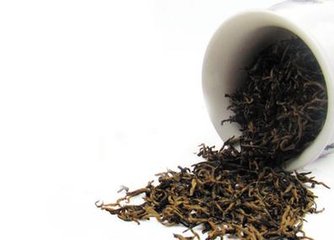 普洱茶饼有虫洞,普洱茶饼上有小虫子怎么办