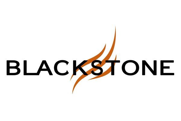 外媒：百仕通集团在印度市场大获成功市场回报率达全球最高