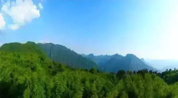 赤水一日游真实感受,感受赤水河