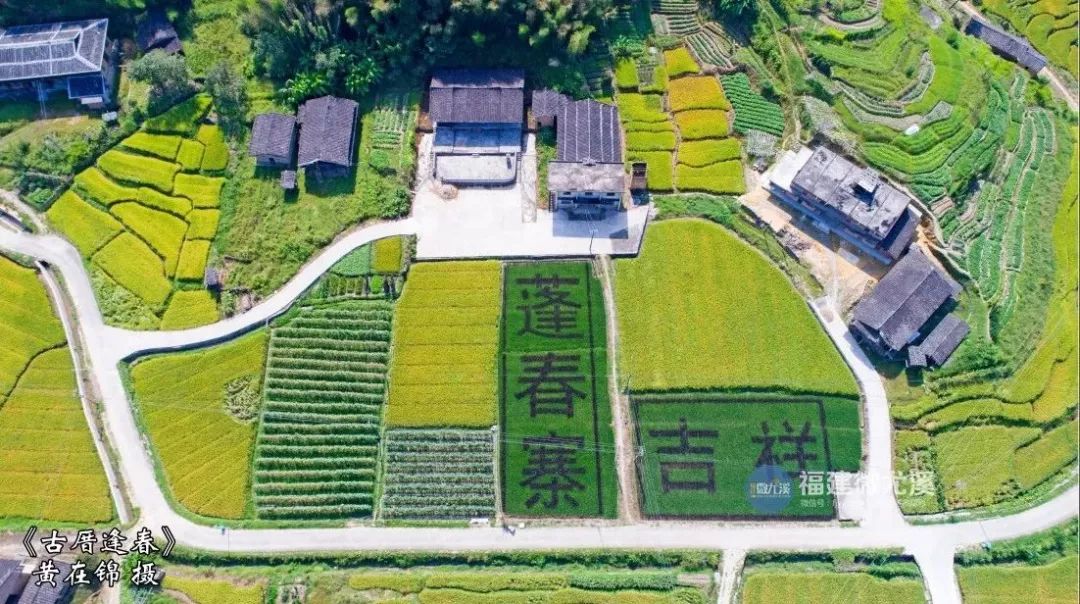 闽中深山里,有谁知道这个尤溪姑娘?真的太美了!