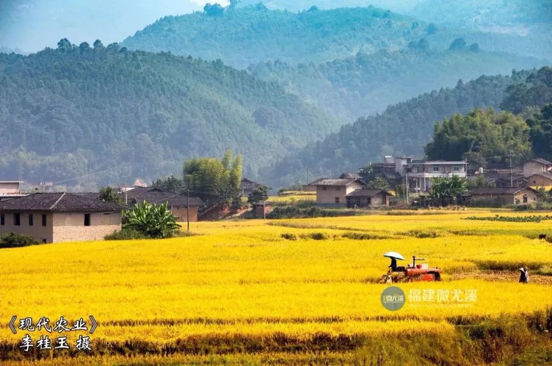 闽中深山里，有谁知道这个尤溪姑娘？真的太美了！