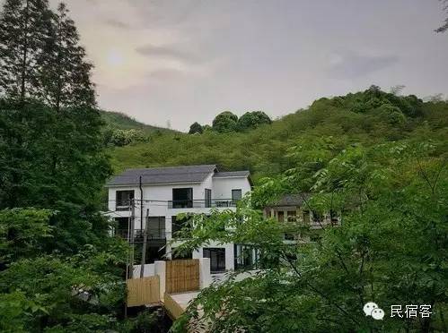 初夏，感受溪水的清凉，就去这几家溪畔民宿