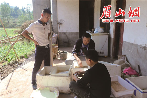 新时代创业理念,新时代丹棱