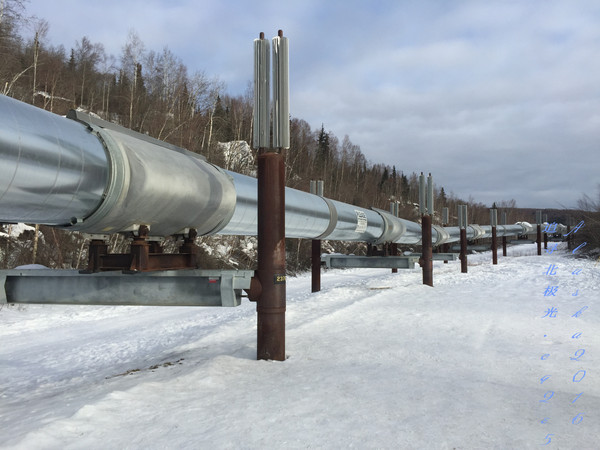 北极5天4晚旅游攻略,美国阿拉斯加6日游